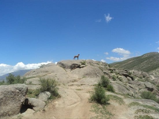 El lomo de roca de la cumbre, con un perro parado sobre las piedras