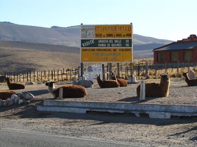 El cartel de El Infiernillo, a 3042 m sobre el nivel del mar, con llamas echadas alrededor