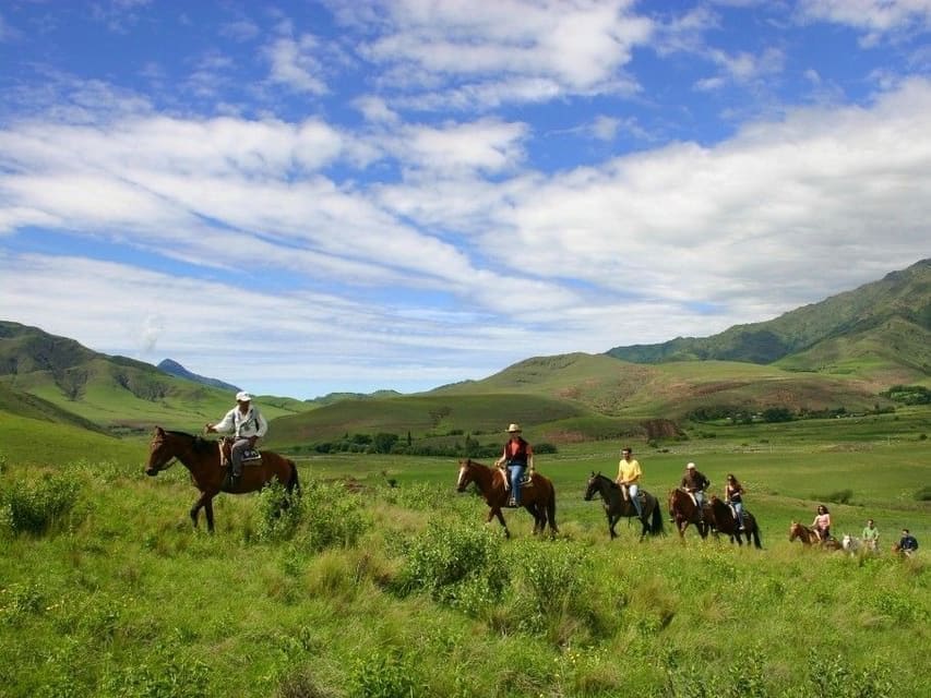 Una cabalgata cruzando los cerros verdes de Las Carreras