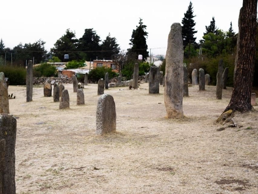 El campo de menhires de la reserva, con las estatuas líticas paradas sobre el pastizal